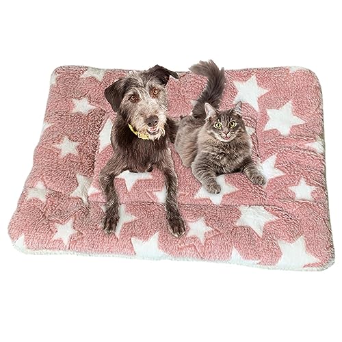 Ristyur Beruhigende Katzendecke | Kätzchen-Decken für Kätzchen, Hundekissen für Hunde, Welpen, Katzen, Welpendecken für Indoor-Katzen und Hunde, Kätzchenbett für Nervosität und Stress von Ristyur