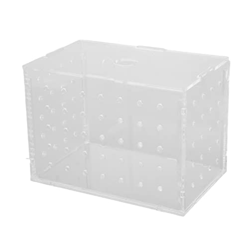 Fish Breeder Box, Aquarium Hatchery Incubator Tank Schutz aus Acryl, Platzsparend für Baby-Clownfische für Aquarium für Babygarnelen (9 * 6 * 7 cm) von Riuulity