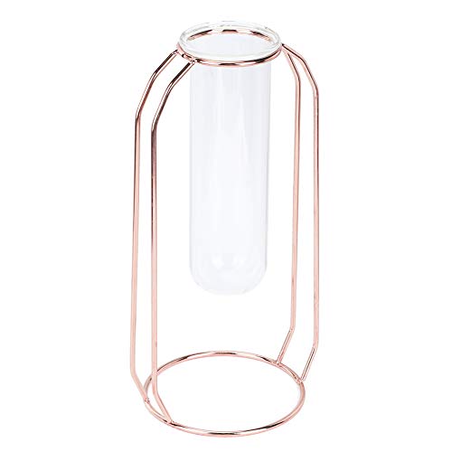 Glasvase-Pflanzgefäßhalter, Desktop-Hydrokulturvase für Heimdekoration, Töpfe, Pflanzgefäße, Behälter, Zubehör, Terrarien (Roségold) von Riuulity