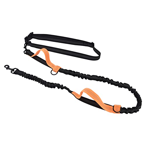 Traktionsseil, Tragbare Handgriff-Hundeleine Zum Joggen, Einziehbar, Reflektierend, für Sport, Laufen, Haustiergarten, Tiergesundheitsbedarf (ORANGE) von Riuulity