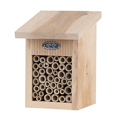 Rivanto® Bienenhaus aus Erlenholz, 16 x 15,5 x H22 cm von Rivanto