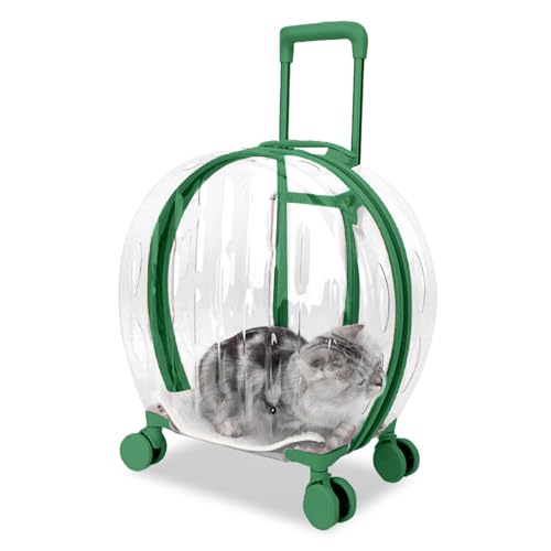 RKROUCO Transportbox für Haustiere mit Rädern – transparentes PC-Material, robustes und atmungsaktives Design, praktischer Griff, geeignet für Katzen und Hunde (grün) von Rkrouco