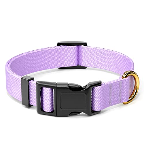 Rnivvi Hundehalsband, Verstellbare lila Hundehalsbänder für mittelgroße Hunde, Niedliches Welpenhalsband für Jungen und Mädchen, Laufen, M Länge 2.5 cm Breite von Rnivvi