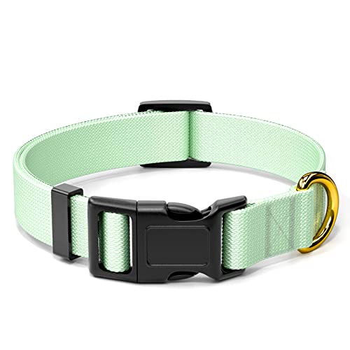 Rnivvi Hundehalsband, verstellbar, grünes Hundehalsband für kleine Hunde, niedliches Welpenhalsband für Jungen und Mädchen, klassisch, strapazierfähig, mit Schnellverschluss-Schnalle zum von Rnivvi