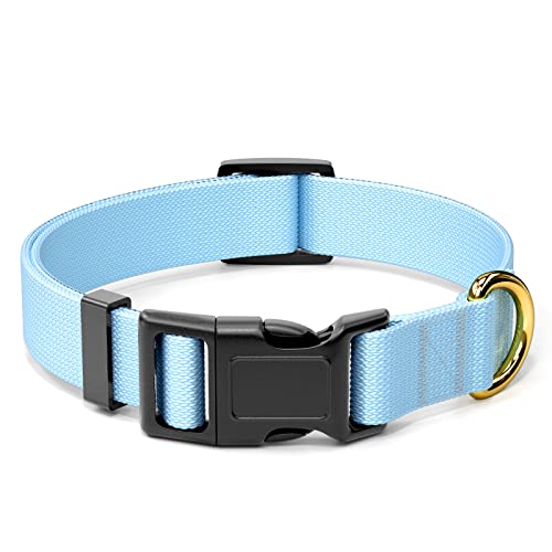 Rnivvi Hundehalsband, verstellbares, blaues Hundehalsband für mittelgroße Hunde, niedliches Welpenhalsband für Jungen und Mädchen, klassisches, Laufen, Größe M Länge 2.5 cm Breite von Rnivvi