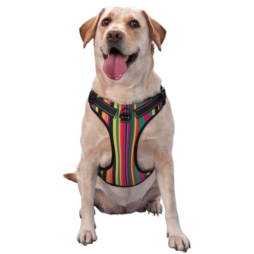 Hundegeschirr für Haustiere, Regenbogenfarben, gestreift, mittelgroß, für Outdoor, Reisen, Spaziergänge mit dem Hund von RoMuka