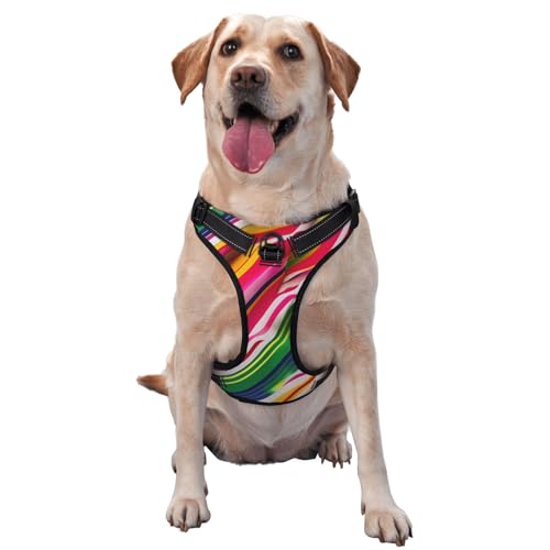 Hundegeschirr für Haustiere, Regenbogenstreifen, mittelgroß, für Outdoor-Reisen, Spaziergänge mit dem Hund von RoMuka