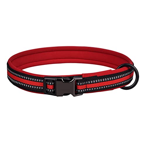 Katzen Halsband bequem verstellbare Schnalle sicher Nylon Haustier Katze Halskette Halsband zum Spielen Rot L von Roadoor