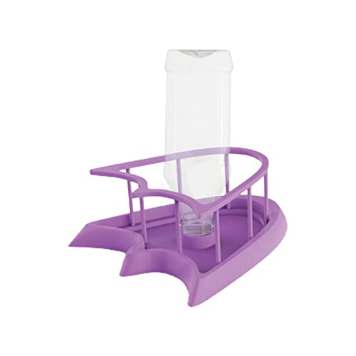 Klettern Pet Feeder Glatte Kanten Haustier Fütterungstool Kompakt Klettern Pet Food Bowl für grüne Leguan A von Roadoor