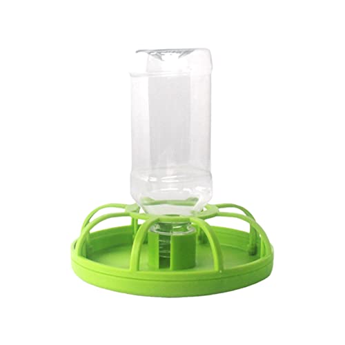 Klettern Pet Feeder Glatte Kanten Haustier Fütterungstool Kompakt Klettern Pet Food Bowl für grüne Leguan C von Roadoor