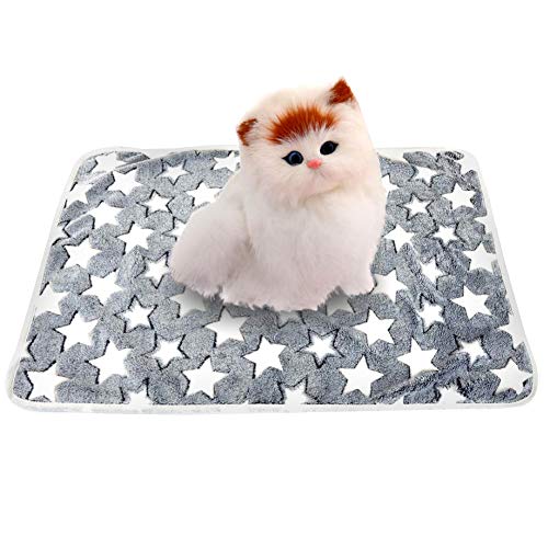 Roadoor Haustier Blanket Bett Pad Hund Blanket Matte Atmungsaktive Sterne Druck Rechteck Haustier Hund Welpen Katze Decke Schlaf Matte Kissen Bett für Hunde Katzen Hellblau m von Roadoor