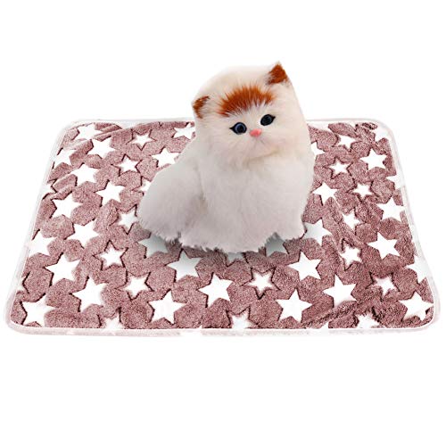 Roadoor Haustier Blanket Bett Pad Hund Blanket Matte Atmungsaktive Sterne Druck Rechteck Haustier Hund Welpen Katze Decke Schlaf Matte Kissen Bett für Hunde Katzen Violett S von Roadoor