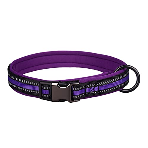 Roadoor Haustierhalsband Wiederverwendbare Verstellbare Leichte Reflektierende Schnalle Katzen Hundehalsband Geschirr Gürtel für Kitty Lila XS von Roadoor