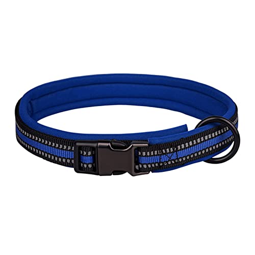 Roadoor Katzen Halsband bequem verstellbare Schnalle sicher Nylon Haustier Katze Halskette Halsband zum Spielen Blau L von Roadoor