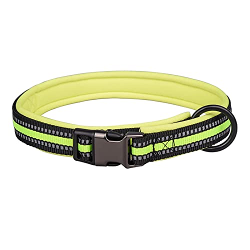 Roadoor Katzen Halsband bequem verstellbare Schnalle sicher Nylon Haustier Katze Halskette Halsband zum Spielen Grün L von Roadoor