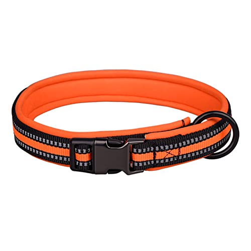 Roadoor Katzen Halsband bequem verstellbare Schnalle sicher Nylon Haustier Katze Halskette Halsband zum Spielen Orange M von Roadoor