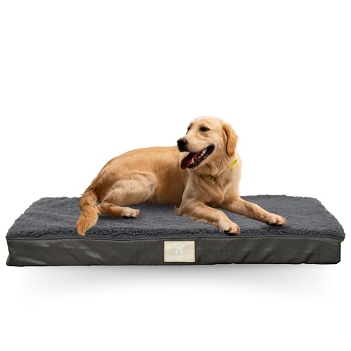 Roarga Pets Wendbares Bett (Winter/Sommer), wasserdicht, kleine Größe S, orthopädisch, viskoelastisch, mit waschbarem abnehmbarem Bezug, Eierschaum mit rutschfester Unterseite, 76 x 51 cm, Grau von Roarga Pets