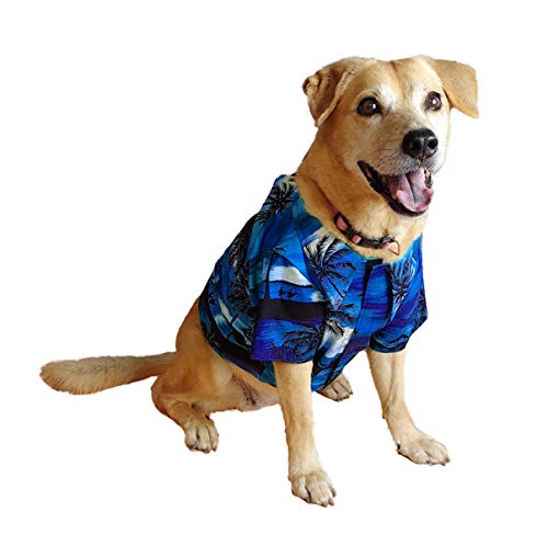 RJC Dog Waimea Sunset Aloha Hawaii-Shirt, Marineblau, Größe 2X von Robert J. Clancey