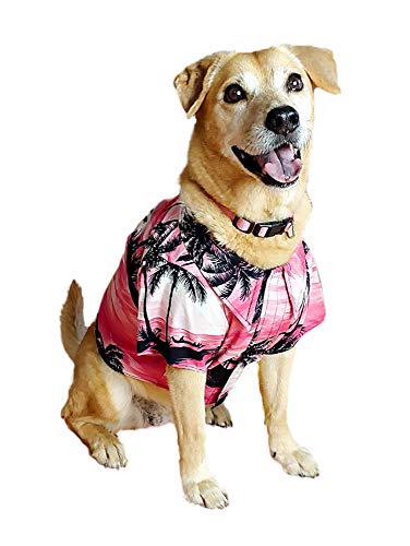 RJC Dog Waimea Sunset Aloha Hawaii-Shirt, Rosa, L von Robert J. Clancey