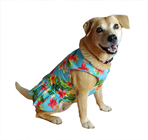 Robert J. Clancey RJC Dog Plumeria Sunshine Aloha Hawaiian Sundress Blau L von Robert J. Clancey