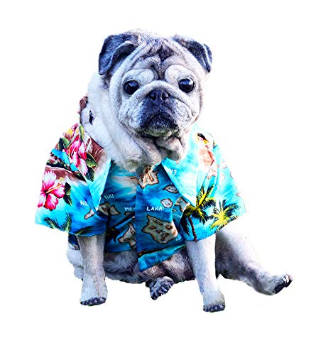 Robert J. Clancey RJC Dog Tropical Island Escape Aloha Hawaiihemd türkis XL von Robert J. Clancey