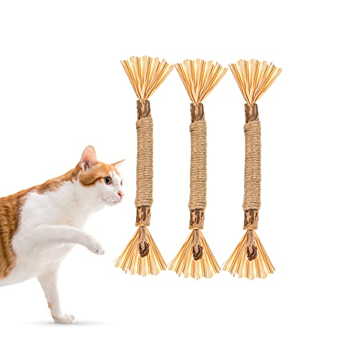 Rocendlor Silvervine Sticks, Katzen-Kaustäbe, Katzen-Zahnspielzeug, natürliche Matatabi-Katzenminze-Sticks, Zahn-Kauspielzeug für Katzen, Reinigung, interaktiv für Kätzchen, Kätzchen (3 Stück) von Rocendlor