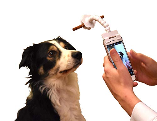 Selfie-Stick für Hunde und Katzen, tragbar, für Fotografie, Spielzeug, Handy-Zubehör, für das perfekte Foto für Ihr Haustier, Schwarz von Rocita