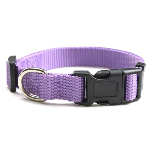 Rocky Green Verstellbares Hundehalsband, Anti-Würgen, reflektierend, mit D-Ring für S/M/L Hunde (5–40 kg), 4 Farben, leicht und atmungsaktiv (L, Violett) von Rocky Green