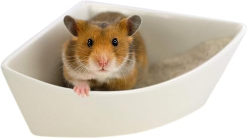 Rodipet® Hamster Ecktoilette aus Keramik - Größe M von Rodipet