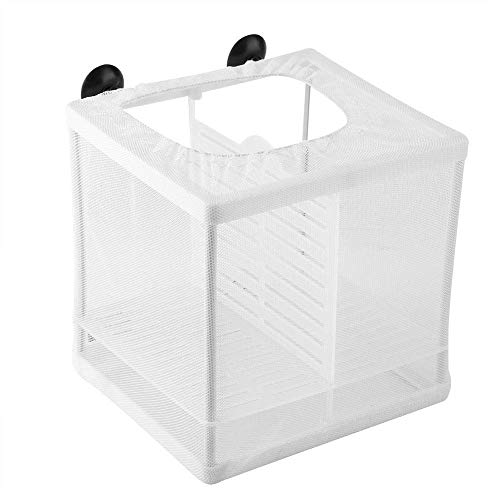 Rodipu Fischzuchtbox Fischisolierbox mit Saugnäpfen Fischaufzucht für Aquarium Züchter Box Net Fry Brüterei Inkubator für Aquarium Baby Fische Garnelen Clownfische und Guppy von Rodipu