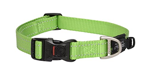 ROGZ HB06-L Utility Halsband/Fanbelt, L, grün von Rogz