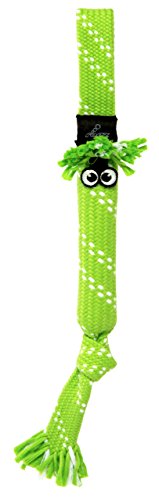 ROGZ SC05-L Scrubz Medium Teeth Cleaning Dog Toy/Hundespielzeug zahnreinigend, L, grün von Rogz