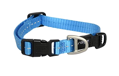 Reflektierendes Hundehalsband für kleine Hunde, verstellbar von 20,3-33 cm, türkis von Rogz