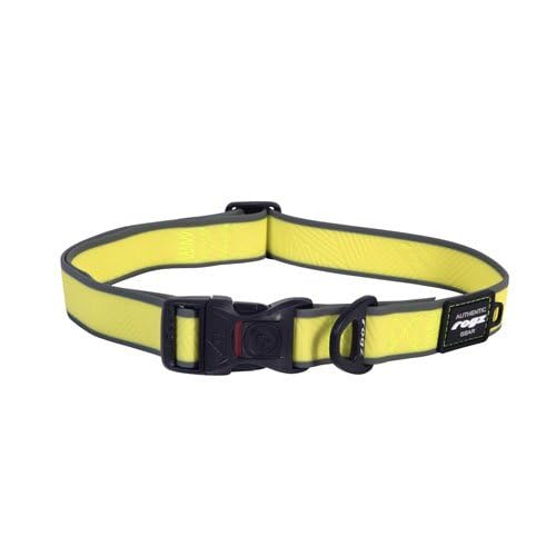 Rogz Amphibian Klassisches Hundehalsband Dayglo XL 43–70 cm – Das Halsband ist ideal für Aktivitäten im Wasser von Rogz