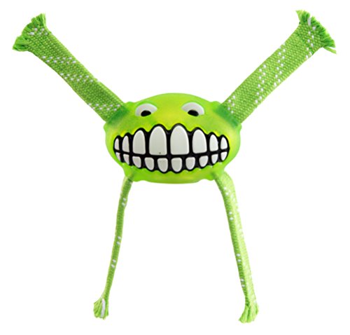 Rogz Flossy Grinz, Limette, 24 cm, groß von Rogz