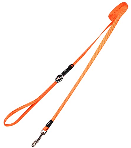 Rogz Kruuse Nitelife Nylon Lead - Orange Reflective 11mm X 1.8m von Rogz