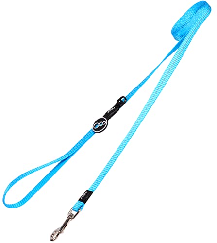 Rogz Kruuse Nitelife Nylon Lead - Turquoise Reflective 11mm X 1.8m von Rogz