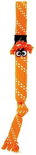 ROGZ SC05-D Scrubz Medium Teeth Cleaning Dog Toy/Hundespielzeug zahnreinigend, L, orange von Rogz