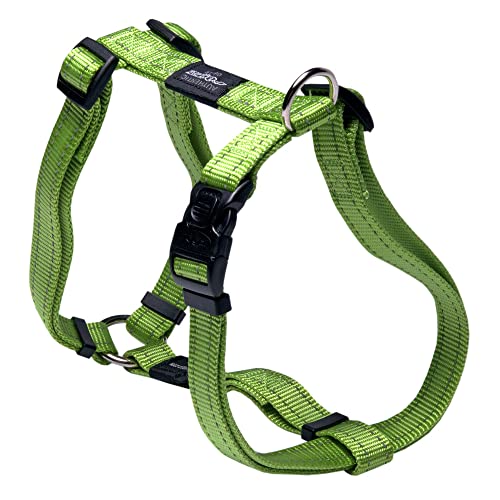 ROGZ SJ06-L Utility Hundegeschirr/Fanbelt, L, grün von Rogz