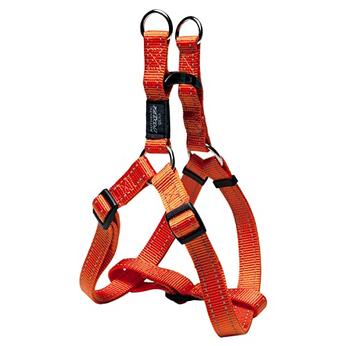 Rogz Utility Hundegeschirr, reflektierend, verstellbar, 1,9 cm, Fanbelt Hundegeschirr, groß, 3/4" Large, Orange von Rogz