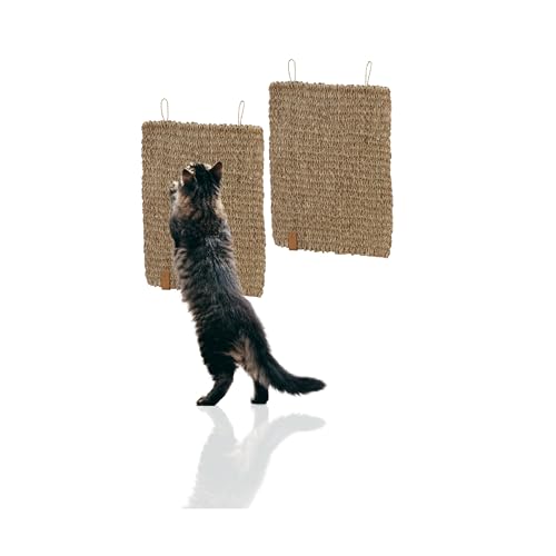 Rohrschneider Kratzmatte Katze eckig | Kratzbrett | Seegrasmatte | Kratzmatte Katze Wand | Katzen Kratzbrett einzeln oder 2er Set (2-er Set) von Rohrschneider