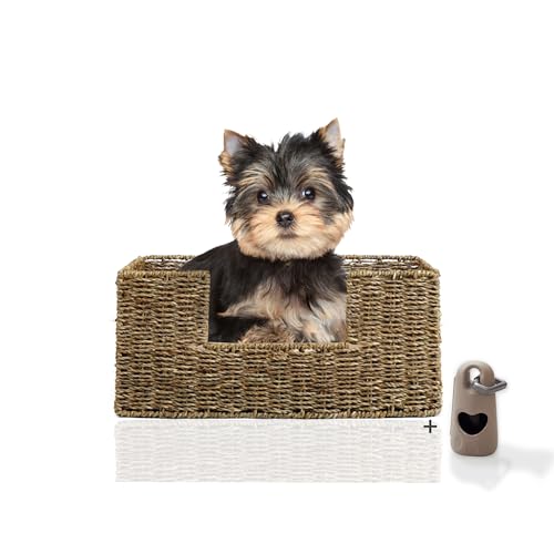 Rohrschneider Tierbett Micado | Hundebett kleine Hunde | Katzenbett | waschbar bei 30° | Naturmaterial Seegras Gr. 1 (B 44 x T 30 x H 20 cm) von Rohrschneider