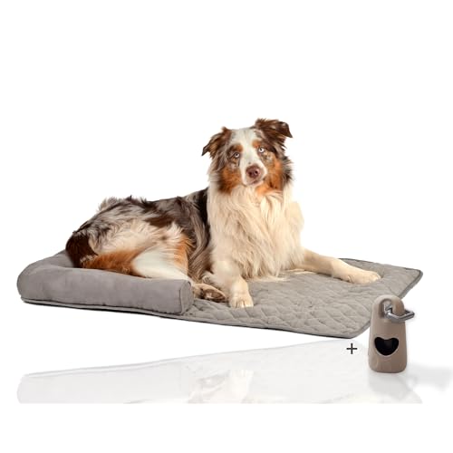 Rohrschneider® Weiches Couchkissen für Hund | Hundebett als Sofaschutz | gemütliches Hundebett Hundedecke für Sofa mit Rand | Möbelschutz Kofferraumschutz Hund | Hundebett für Sofa und Couch von Rohrschneider