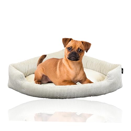 Rohrschneider XXL Eck-Hundebett für große Hunde | Weiche Hundedecke für Ecke aus Cord | Großes Hundebett für große Hunde oder 2 Hunde| Hundekissen Cord in grossen Größen (2 95x70cm) von Rohrschneider