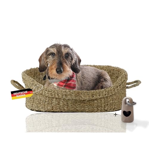 Rohrschneider Hundebett mit Henkel für kleine und mittelgroße Hunde | von Hand geflochtener Hundekorb aus Seegras mit verstärktem hohen Rand | Hundekissen mit waschbarem Bezug | Gr. 1 (51 x 43 cm) von Rohrschneider