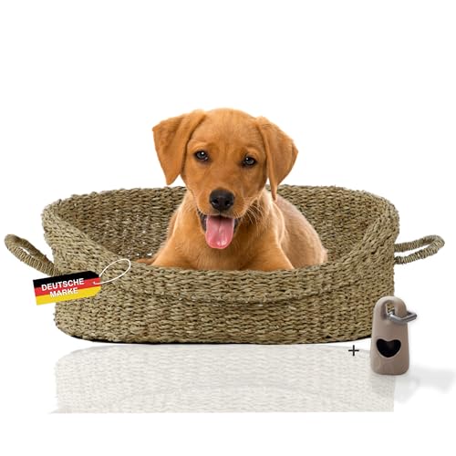 Rohrschneider Hundebett mit Henkel für kleine und mittelgroße Hunde | von Hand geflochtener Hundekorb aus Seegras mit verstärktem hohen Rand | Hundekissen mit waschbarem Bezug | Gr. 2 (70 x 60 cm) von Rohrschneider