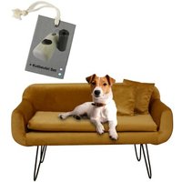 Rohrschneider Hundesofa Hundecouch "San Diego" Samt von Rohrschneider