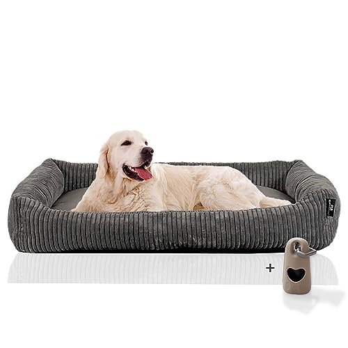 Rohrschneider Hundesofa große Hunde | Cord Hundebett groß | Dog Bed XXL |Hundebett erhöht | Pflegeleichtes Hundebett mit Hundekissen 120x80 cm| Hundekörbchen kuschelig | Geschenke Hundeliebhaber von Rohrschneider