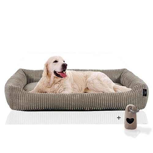 Rohrschneider Hundesofa große Hunde | Cord Hundebett groß | Dog Bed XXL | Weiches Hundebett erhöht | Pflegeleichtes Hundekörbchen mit Hundekissen 120x80 cm | kuschelig | Geschenke Hundeliebhaber von Rohrschneider