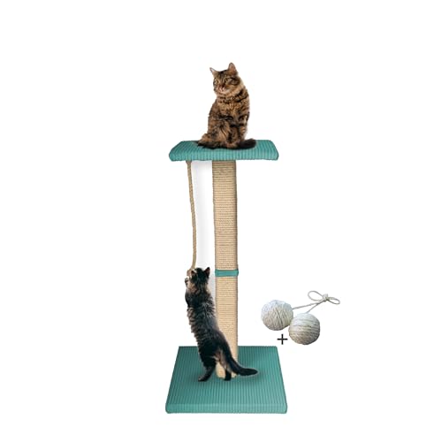 Rohrschneider Katzen Kratzbaum Emmi 77 cm | Kratzsäule mit Sisal | Liegefläche gepolstert mit Katzenminze | standfester Echtholz Katzenbaum mit massiver Bodenplatte (türkis, Gr. 1: Höhe 77 cm) von Rohrschneider